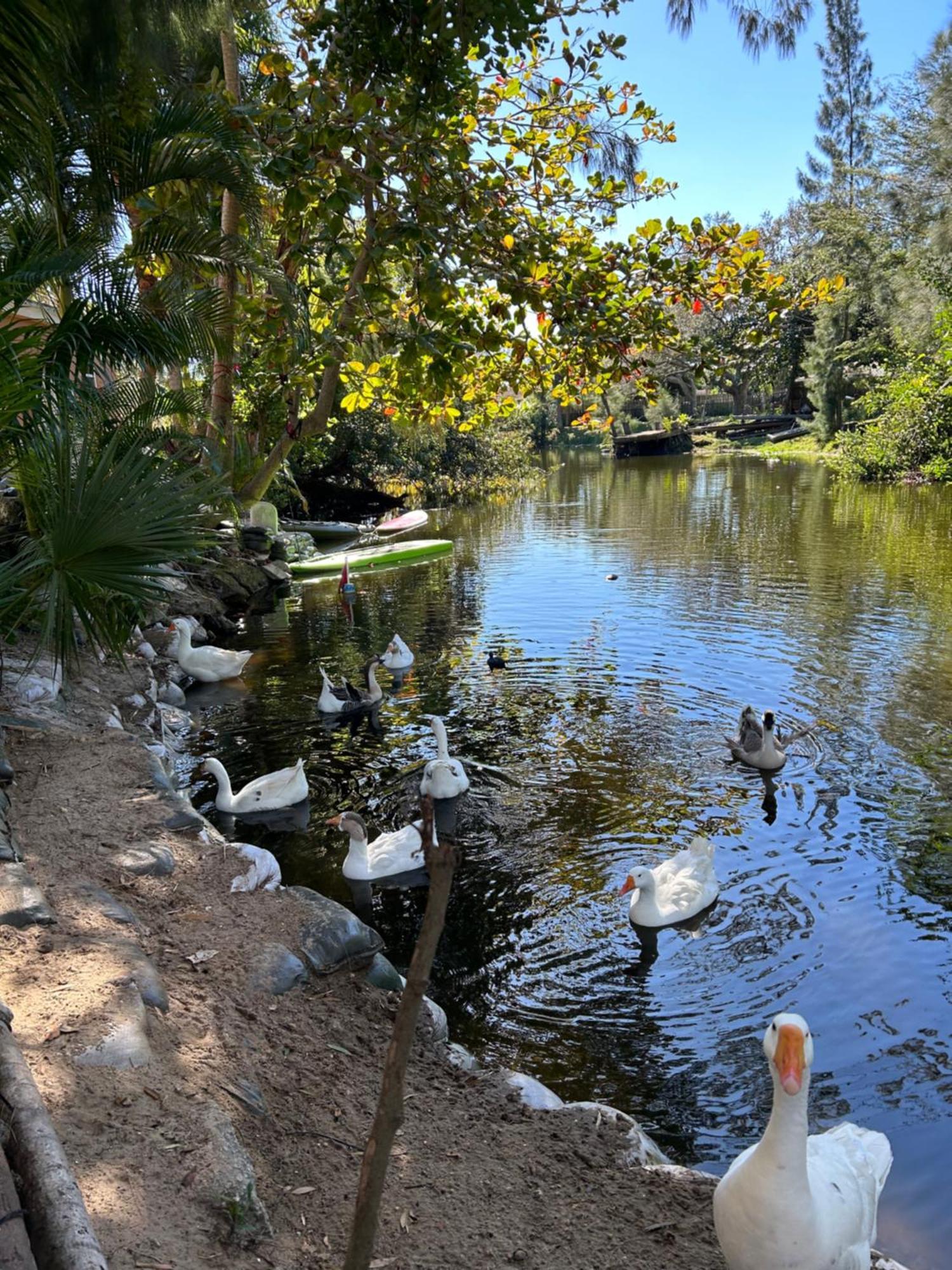 The Sanctuary House West Palm Beach Bagian luar foto