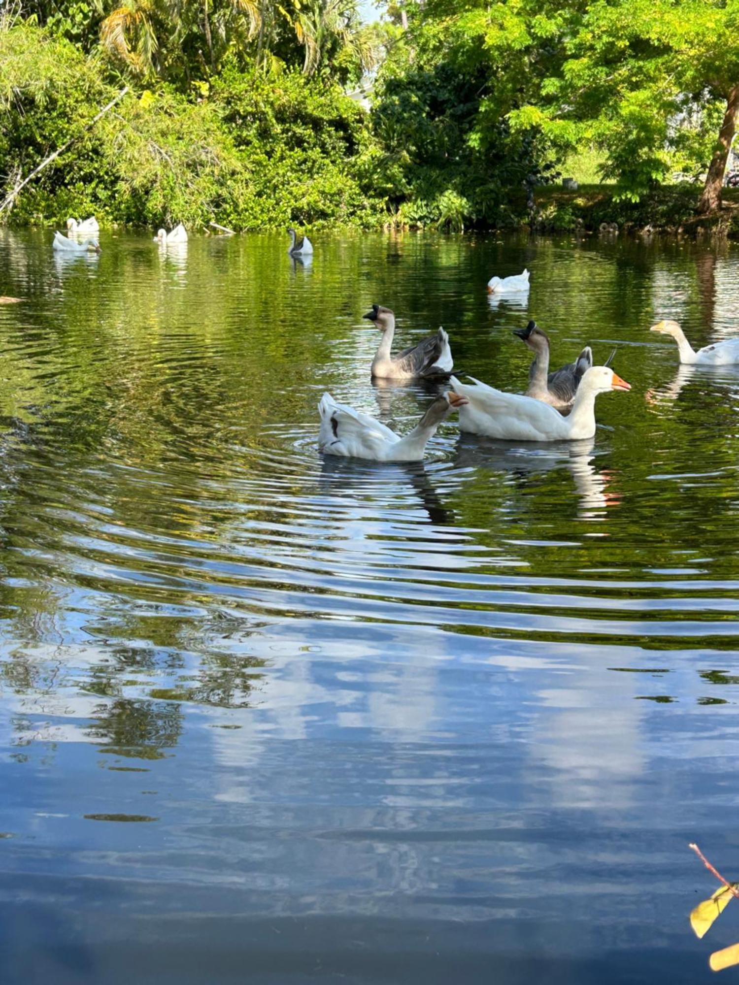 The Sanctuary House West Palm Beach Bagian luar foto